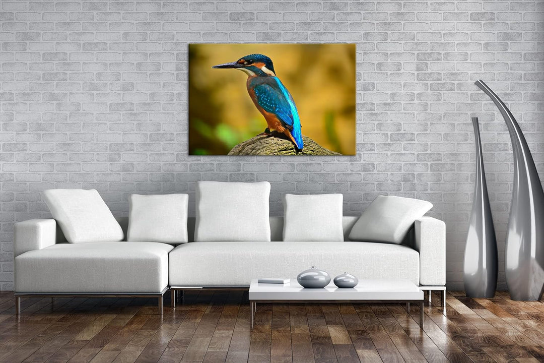 deyoli Eleganter Eisvogel mit blauem Gefieder Format: 80x60 als Leinwand, Motiv fertig gerahmt auf E