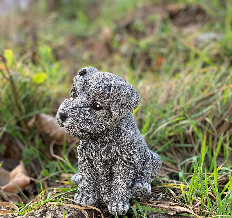 stoneandstyle Steinfigur Hund Schnauzer Gartenfigur frostfest wetterfest