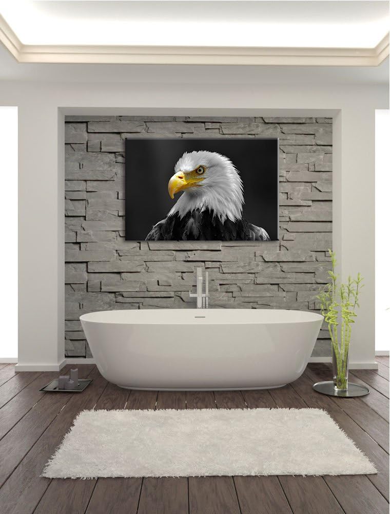eindrucksvoller Weisskopfseeadler schwarz/weiss Format: 100x70 auf Leinwand, XXL riesige Bilder fert