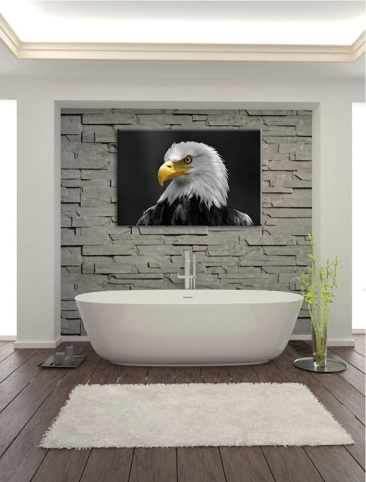 eindrucksvoller Weisskopfseeadler schwarz/weiss Format: 100x70 auf Leinwand, XXL riesige Bilder fert