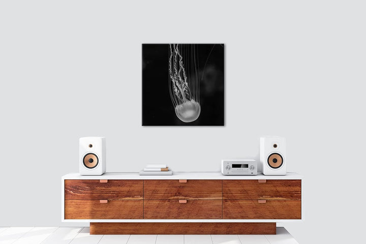 deyoli die langen Tentakel einer Qualle Effekt: Schwarz&Weiss, Format: 70x70 als Leinwandbild, Motiv