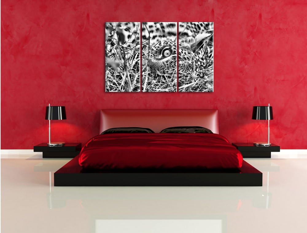 Pixxprint Leopard als Leinwandbild/Grösse: 3 Teilig (120x80) cm/Wandbild/Kunstdruck/fertig bespannt