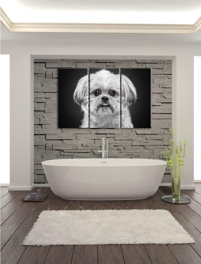 Pixxprint lustiger Kleiner Hund als Leinwandbild | Grösse: 3 Teilig (120x80) | Wandbild| Kunstdruck