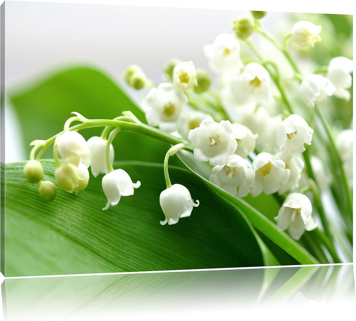 Maiglöckchen Ostern, Format: 100x70 auf Leinwand, XXL riesige Bilder fertig gerahmt mit Keilrahmen,