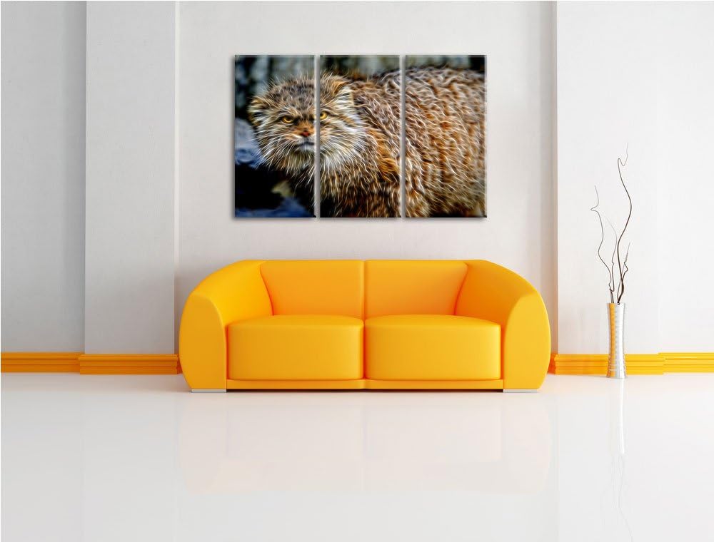 wütende Manul Spezial 3-Teiler Leinwandbild 120x80 Bild auf Leinwand, XXL riesige Bilder fertig gera