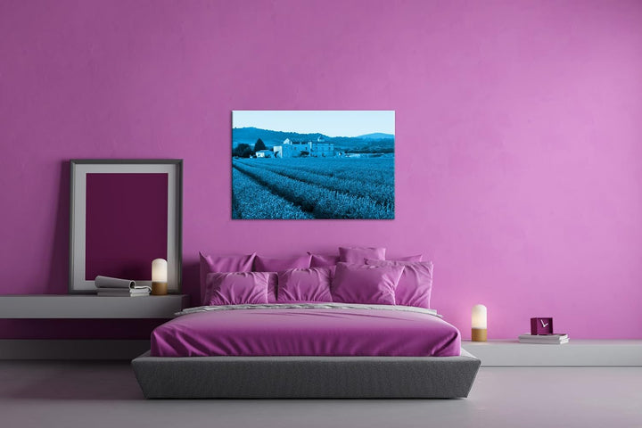 deyoli beeindruckendes Lavendelfeld in Frankreich Format 80x60 Effekt: Monocrome Blau als Leinwandbi