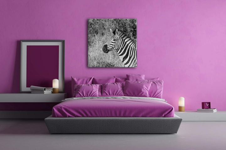 deyoli edles Zebra Format: 70x70 Effekt: Schwarz&Weiss als Leinwandbild, Motiv fertig gerahmt auf Ec