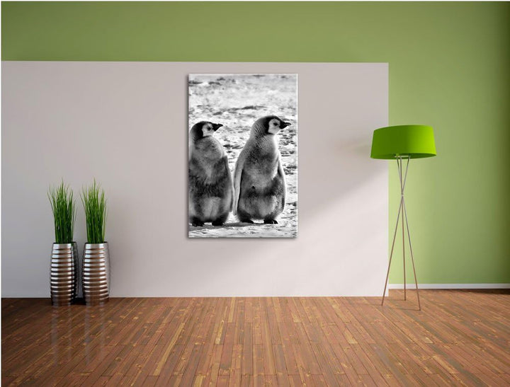 Pixxprint Kaiserpinguin-Küken/Format: 100x70cm / Leinwandbild fertig bespannt Wandbild Kunstdruck, 1