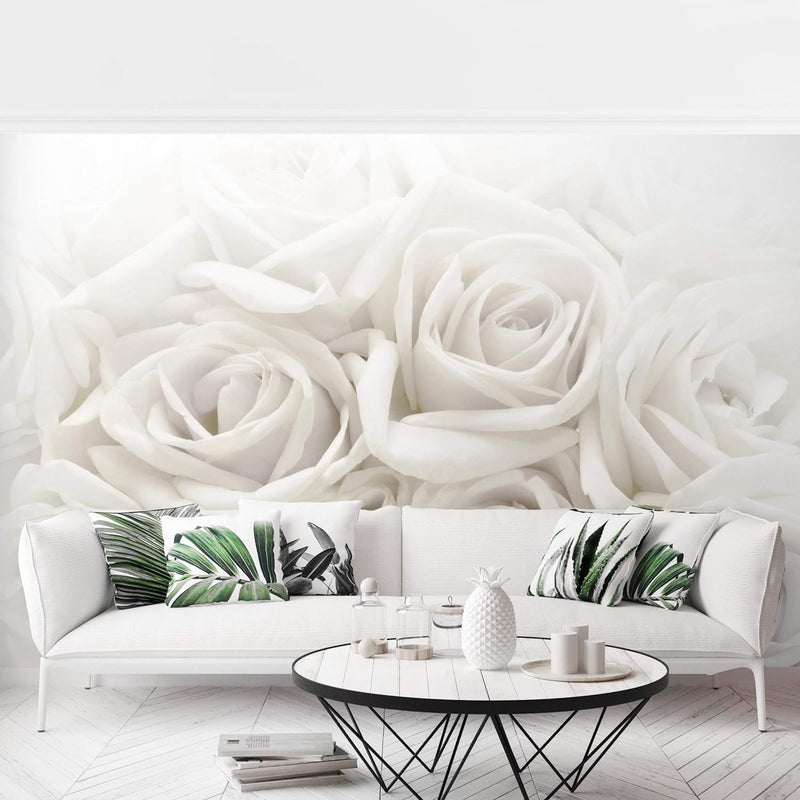 Vliestapete Weisse Rosen Premium, Grösse: 225cm x 336cm, 225cm x 336cm