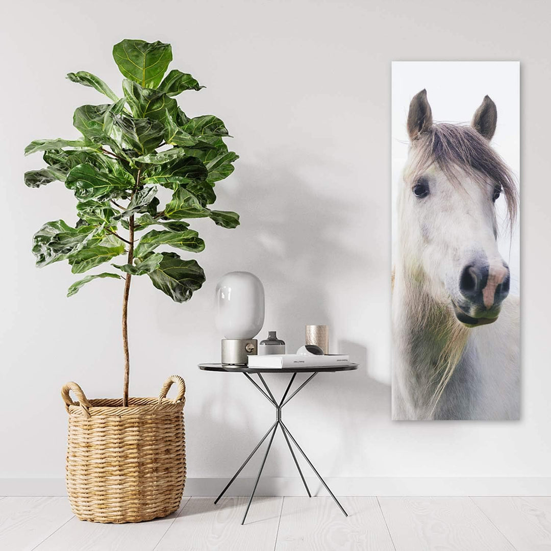 Wandbild Pferd Modern Deko Kunst Bilder Tier Weiss 30x90 cm M14016 30x90 cm, M14016 30x90 cm