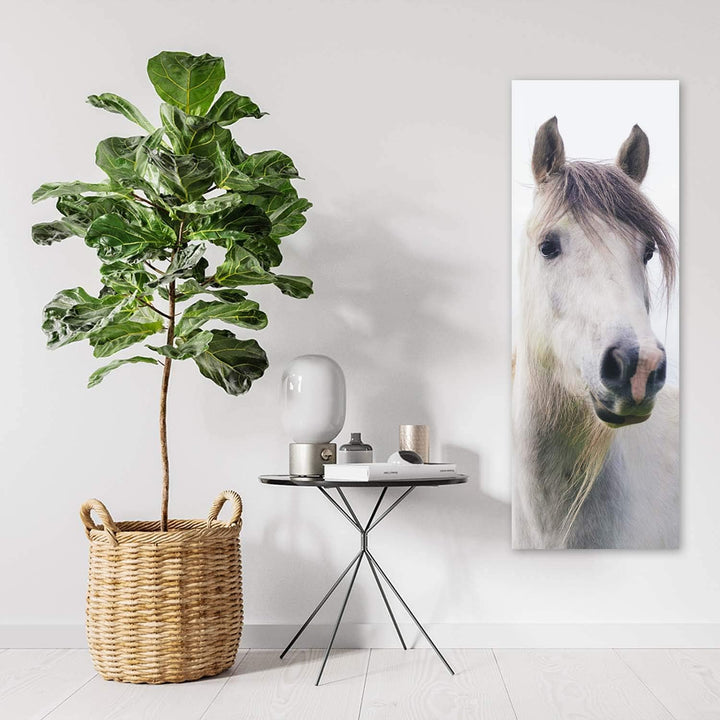 Wandbild Pferd Modern Deko Kunst Bilder Tier Weiss 30x90 cm M14016 30x90 cm, M14016 30x90 cm