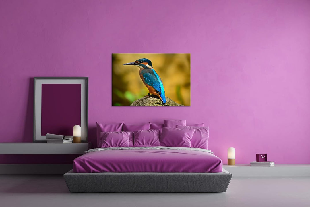 deyoli Eleganter Eisvogel mit blauem Gefieder Format: 80x60 als Leinwand, Motiv fertig gerahmt auf E