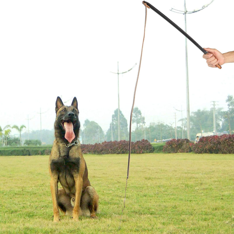 EVTSCAN Hundetraining Peitschenleder, Interaktives Spielzeug, Schutz der Haustierleinen für mittelgr