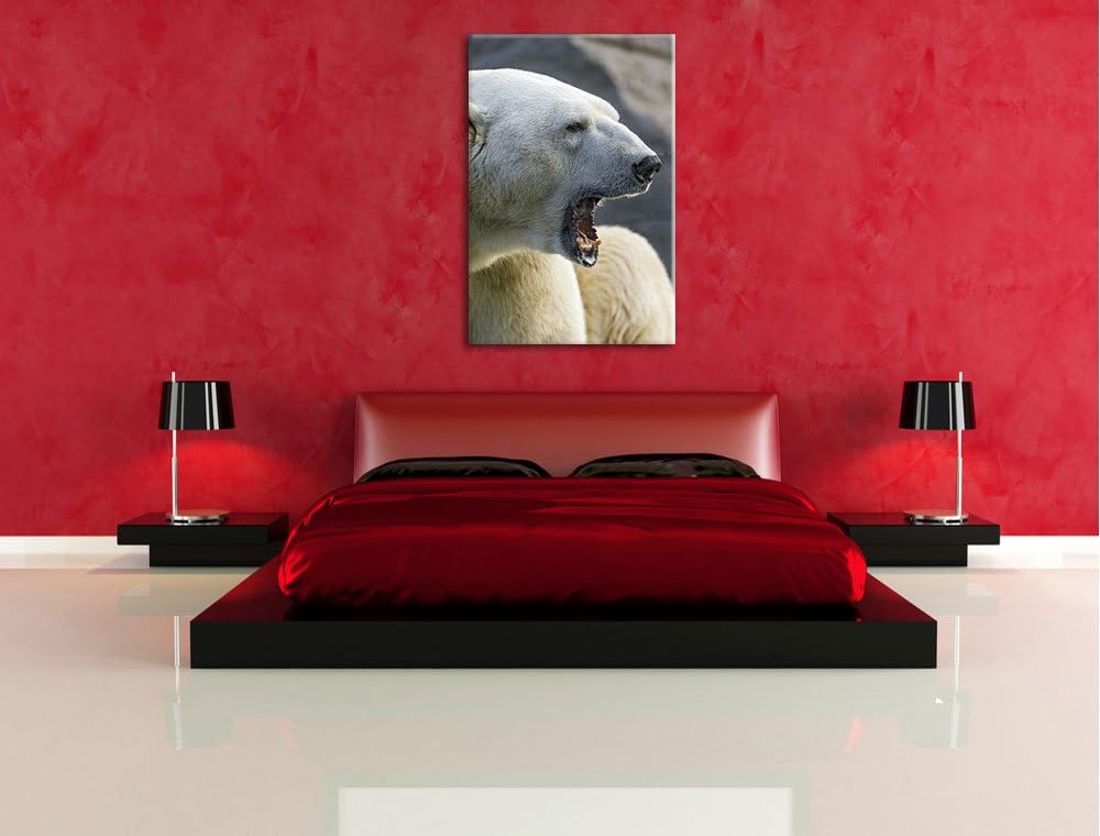 Pixxprint brüllender Eisbär auf Leinwand, XXL riesige Bilder fertig gerahmt mit Keilrahmen, Kunstdru