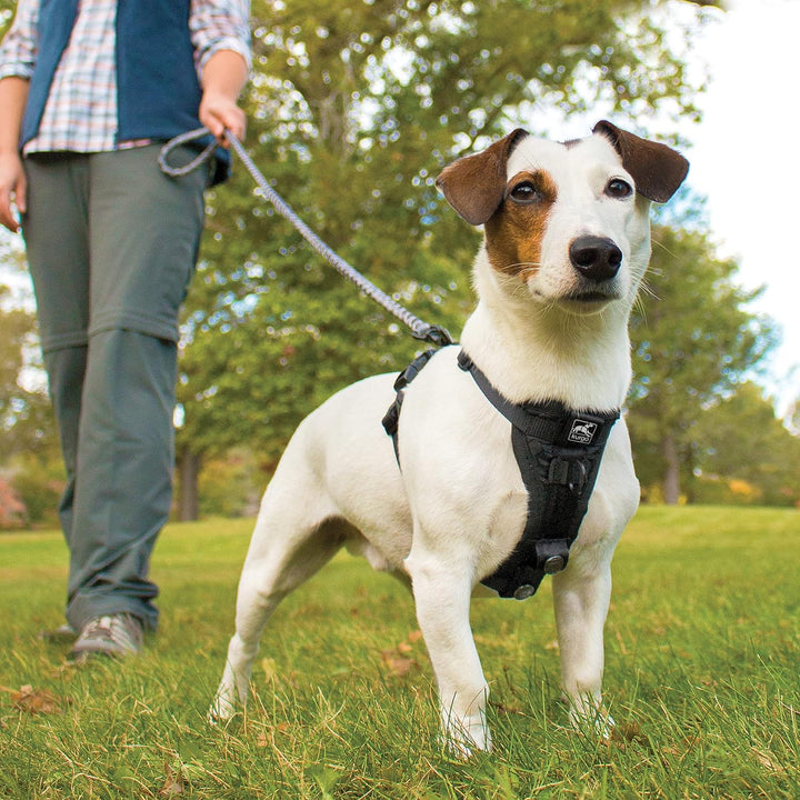 Kurgo Tru-Fit Smart Hundegeschirr, Mit gepolstertem Brustteil und D-Ring, Inklusive Autosicherheitsg