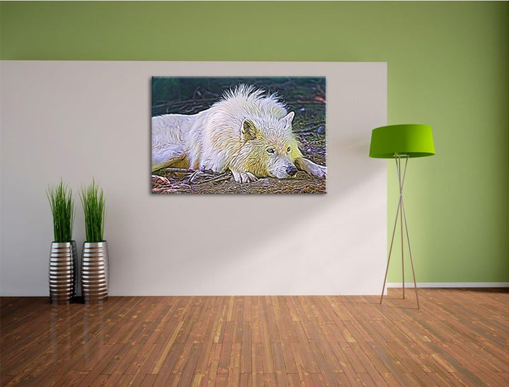 ruhender Polarwolf Deluxe Format: 100x70 cm auf Leinwand, XXL riesige Bilder fertig gerahmt mit Keil