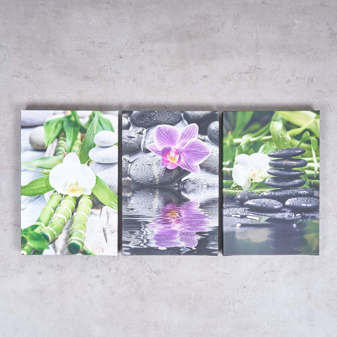 3er Set Wandbild je 30x20cm Leinwand Orchideen Bambus Wellness Deko Wanddeko Keilrahmen, Leinwand