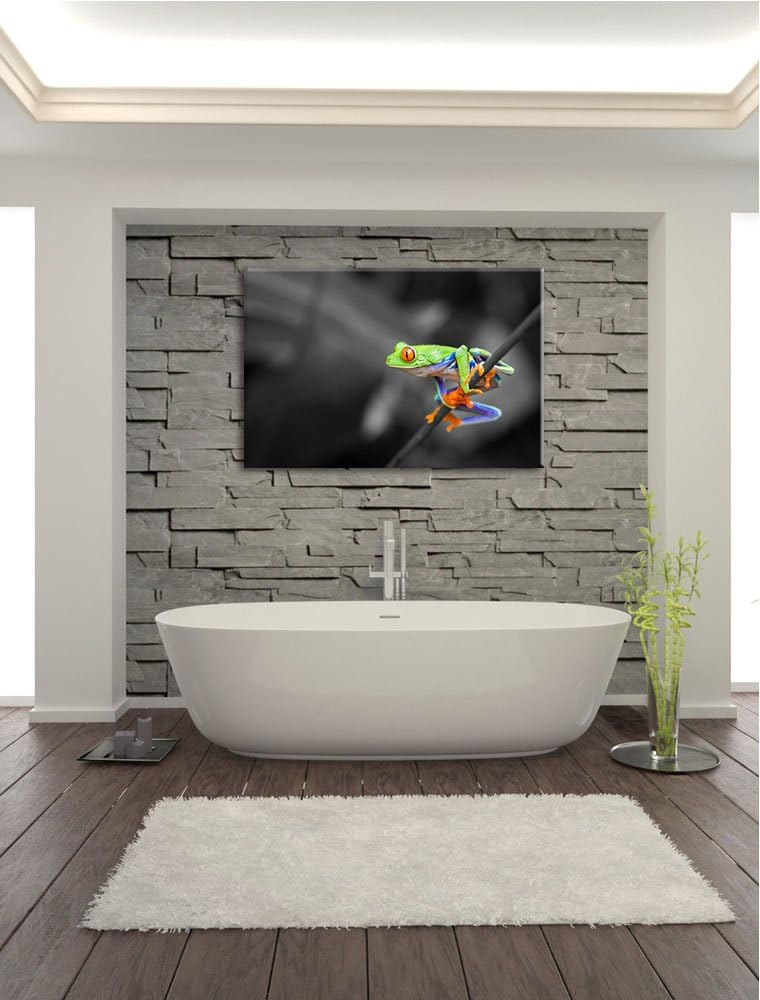kleiner Frosch auf Zweig schwarz/weiss Format: 100x70 auf Leinwand, XXL riesige Bilder fertig gerahm