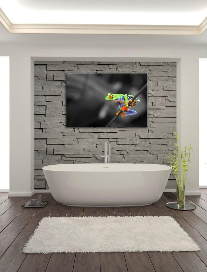 kleiner Frosch auf Zweig schwarz/weiss Format: 100x70 auf Leinwand, XXL riesige Bilder fertig gerahm