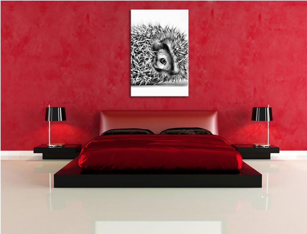 Pixxprint kleines niedliches Igel Baby als Leinwandbild/Grösse: 100x70 cm/Wandbild/Kunstdruck/fertig