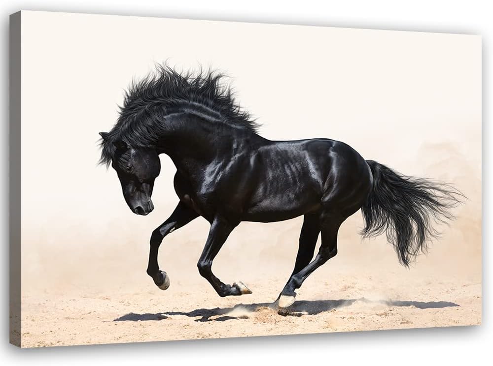 Feeby Vlies Leinwandbild Pferd Hengst Stute Laufen 90x60 cm Druckbild Wandbild Wanddekoration Deko W