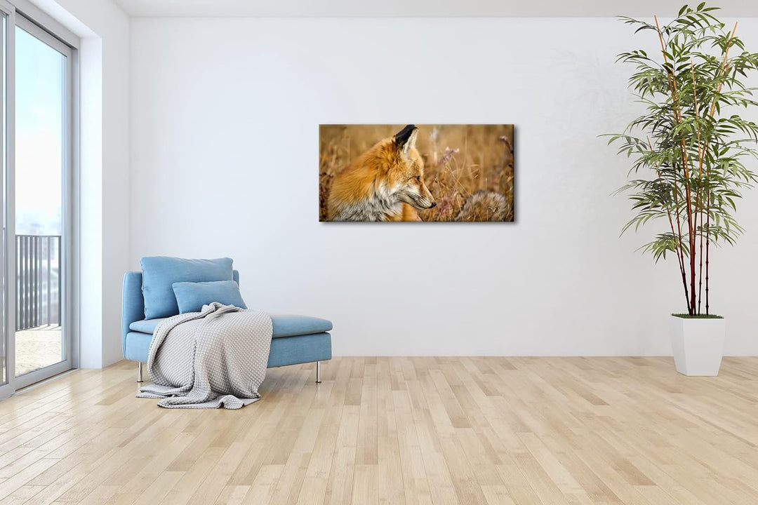 Kleiner Fuchs im Getreidefeld Panorama 80x40 cm als Leinwandbild, Motiv fertig gerahmt auf Echtholzr