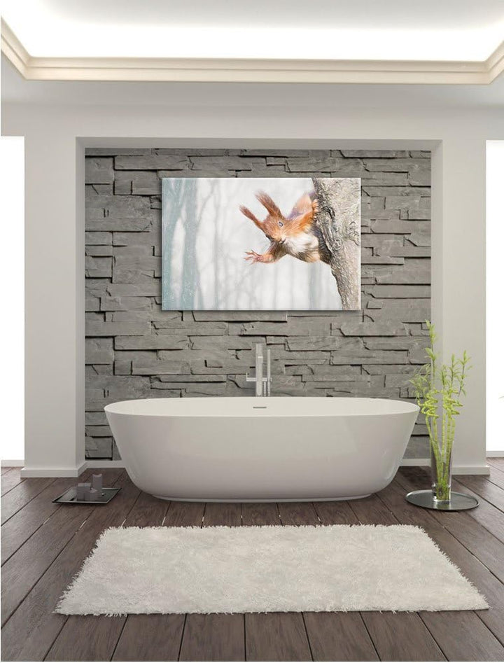 Pixxprint Neugierig rotes Eichhörnchen als Leinwandbild/Grösse: 100x70 / Wandbild/Kunstdruck/fertig