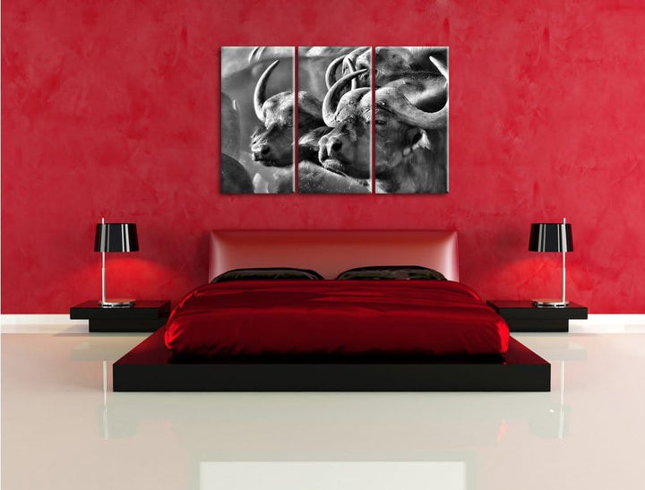 Pixxprint Monocrome, Zwei gemütliche Wasserbüffel 3-Teiler Leinwandbild 120x80 Bild auf Leinwand