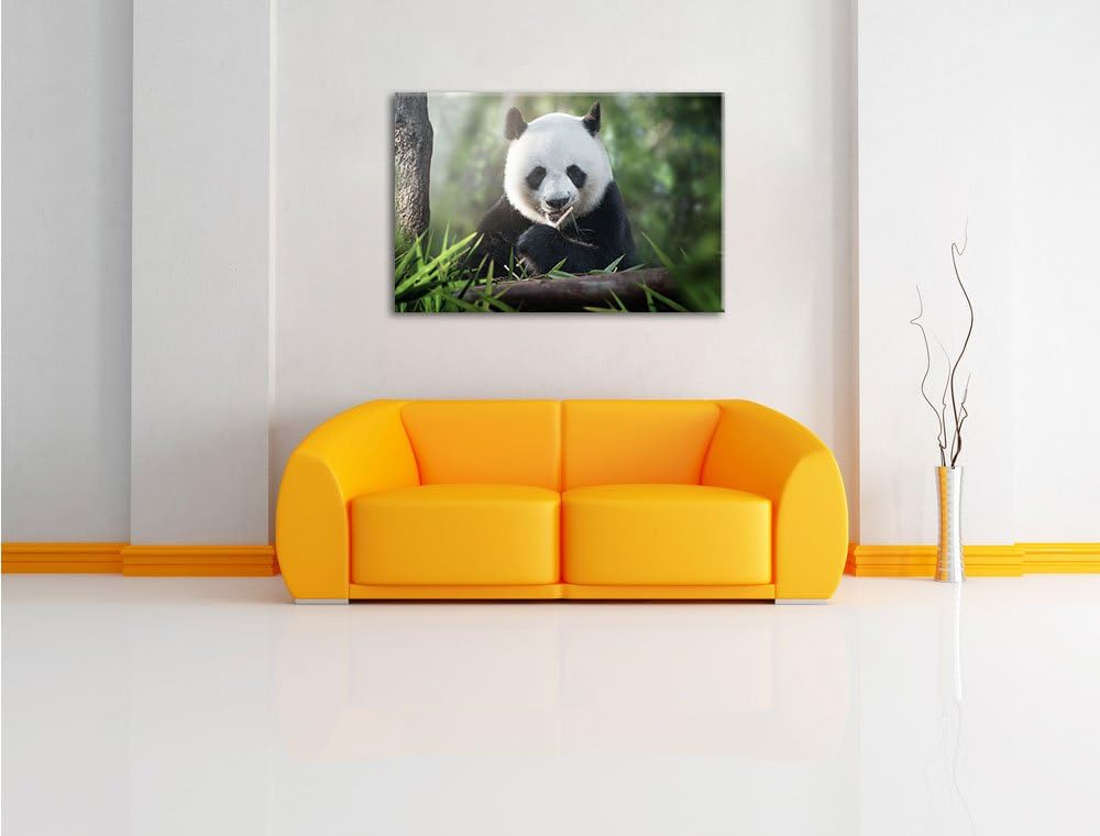Pixxprint Niedlicher Panda isst Bambus / 100x70cm Leinwandbild bespannt auf Holzrahmen/Wandbild Kuns