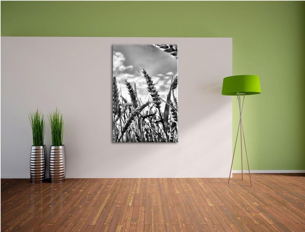 Pixxprint Getreide im Sonnenschein/Format: 100x70cm / Leinwandbild fertig bespannt Wandbild Kunstdru