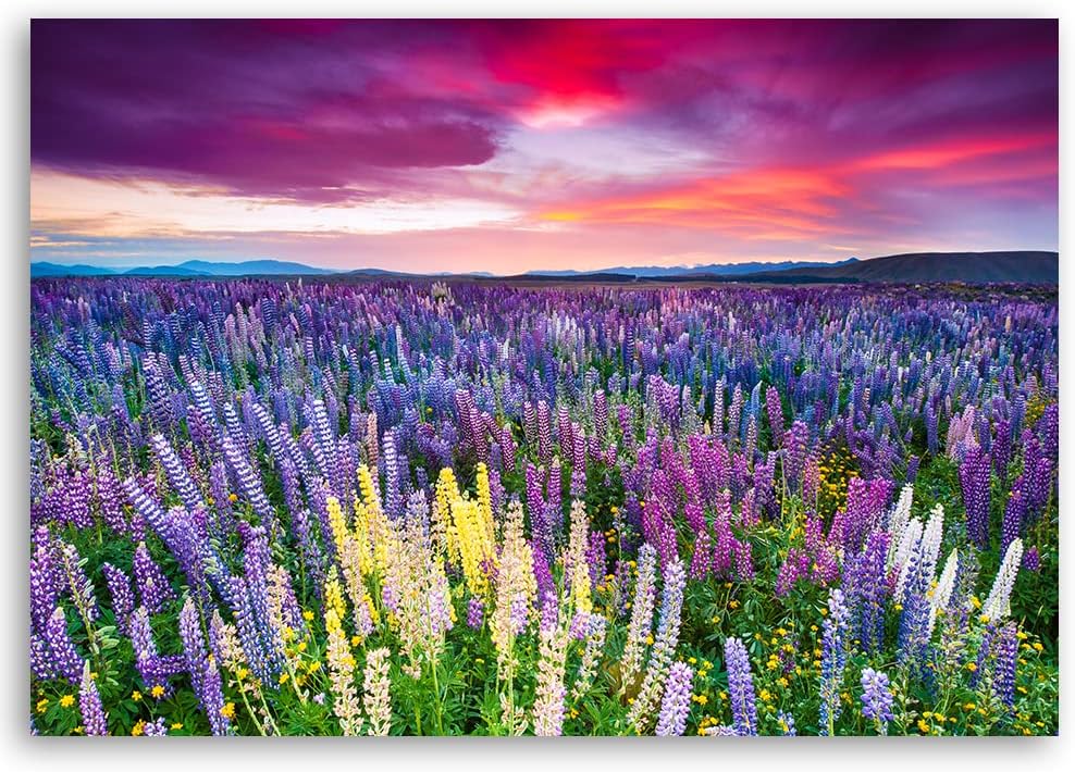 Feeby Vlies Leinwandbild Wiese Abendhimmel Blumen 90x60 cm Druckbild Wandbild Wanddekoration Deko Wa