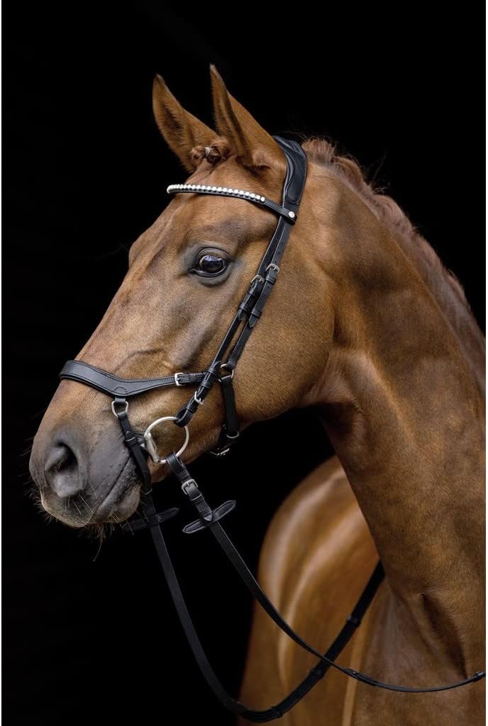HKM Pro Anatomic Trensen 9100 schwarz Pony