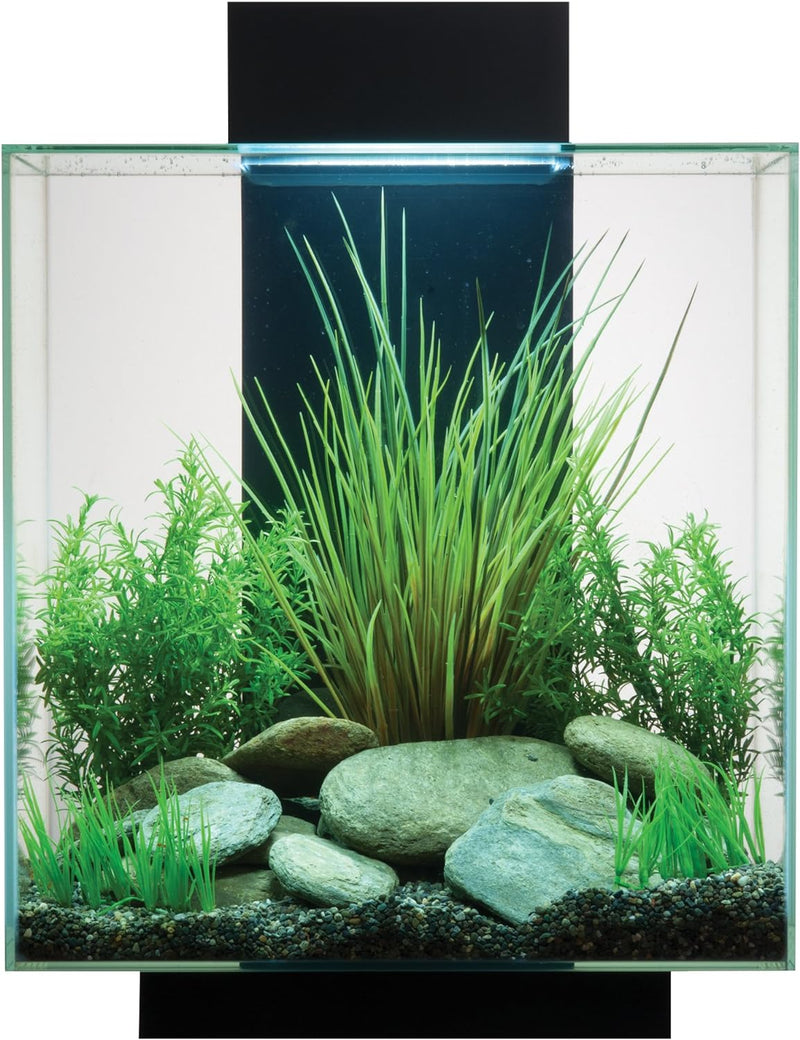 Fluval Edge 2.0 Aquarium, 46L, schwarz, 1 Stück (1er Pack) schwarz 1 Stück (1er Pack), schwarz 1 Stü