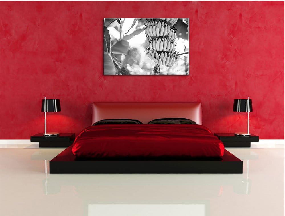 Pixxprint Bananen am Baum / 100x70cm Leinwandbild bespannt auf Holzrahmen/Wandbild Kunstdruck Dekora
