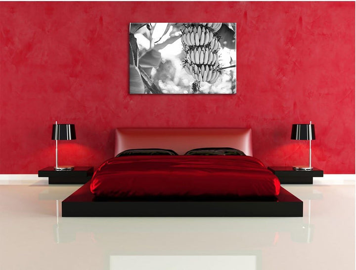 Pixxprint Bananen am Baum / 100x70cm Leinwandbild bespannt auf Holzrahmen/Wandbild Kunstdruck Dekora