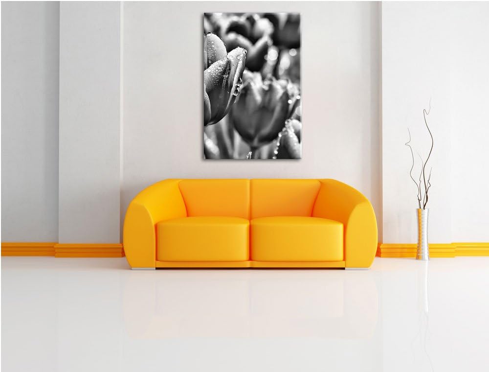 Pixxprint Monocrome, Pinke Tulpen mit Morgentau, Format: 100x70 auf Leinwand, riesige Bilder fertig
