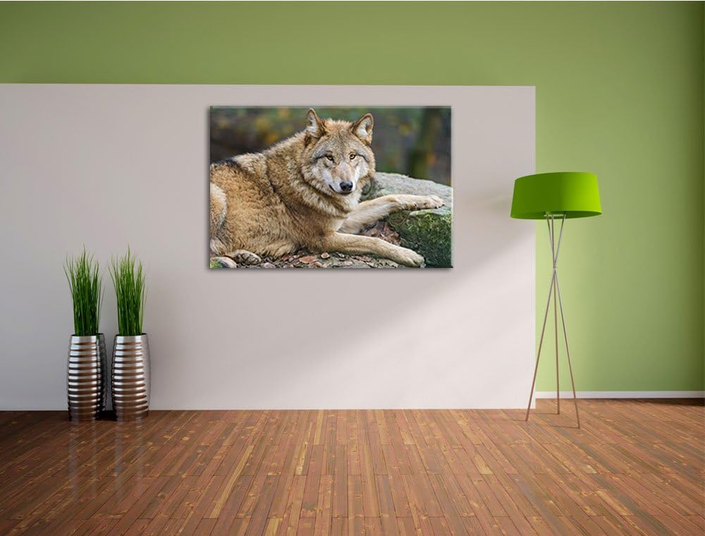 Pixxprint stolzer Wolf auf Stein auf Leinwand, XXL riesige Bilder fertig gerahmt mit Keilrahmen, Kun