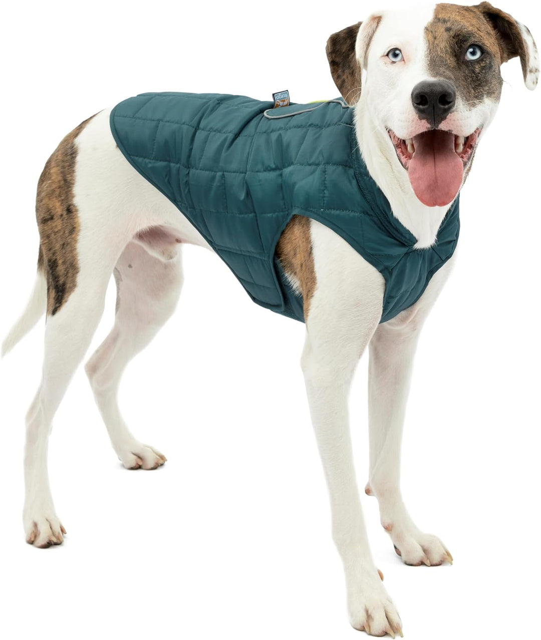 Kurgo Loft Hundejacke, Mit Hundegeschirr kombinierbar, Wasserdicht und reflektierend, Ideal für den