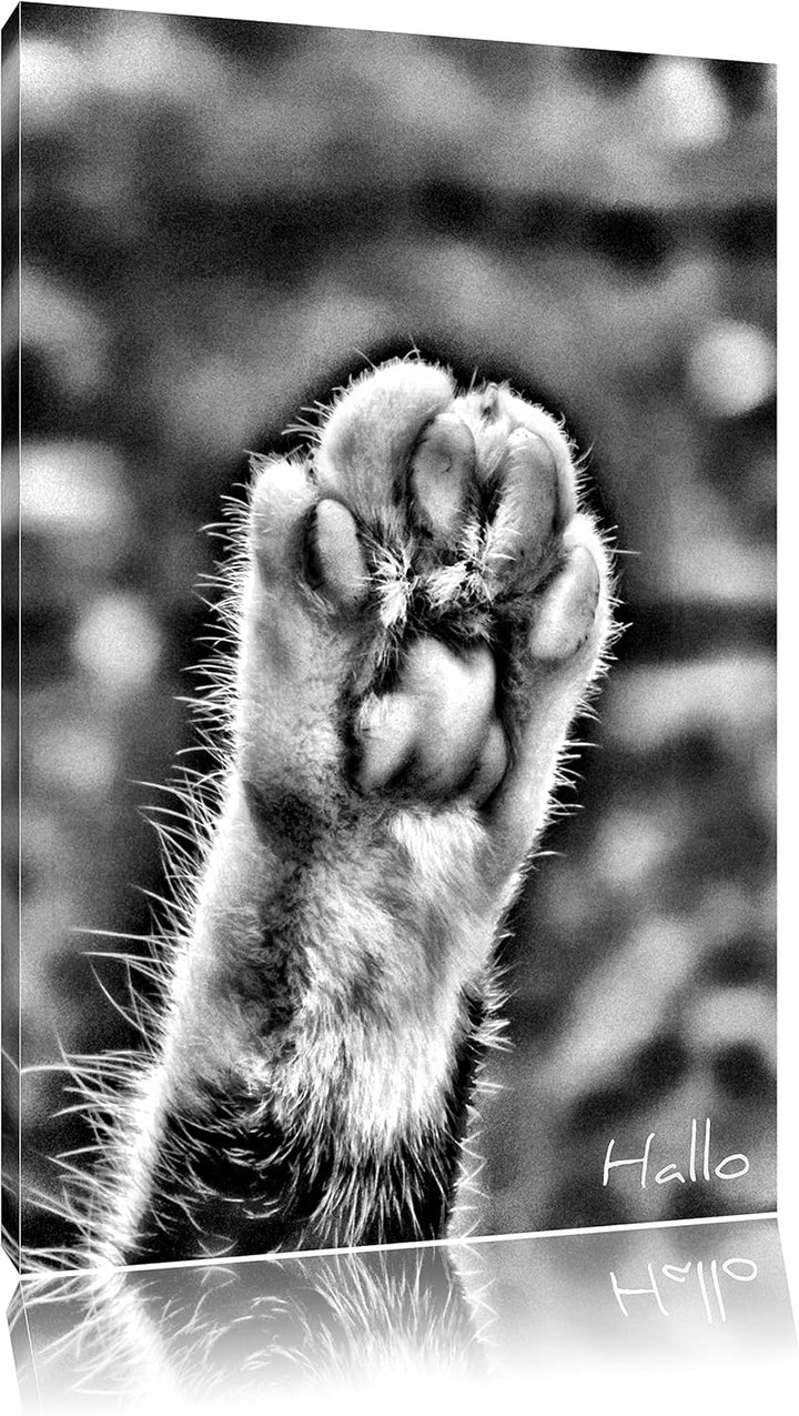 Pixxprint kleine Katzenpfote als Leinwandbild/Grösse: 100x70 / Wandbild/Kunstdruck/fertig bespannt,