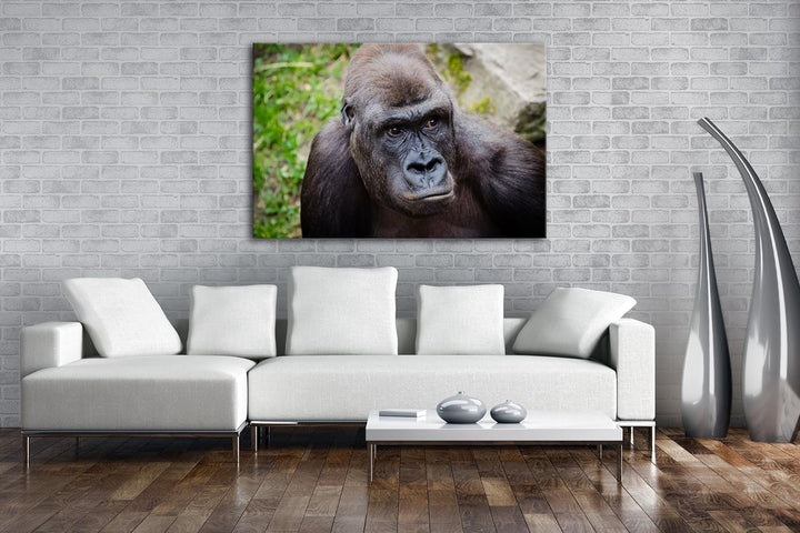 deyoli Grosser schwarzer Gorilla Format: 80x60 als Leinwandbild, Motiv fertig gerahmt auf Echtholzra