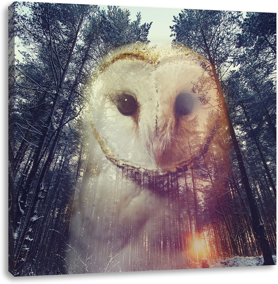Pixxprint Portrait Einer Eule als Zeichen des Waldes, Format: 70x70 auf Leinwand, 70x70