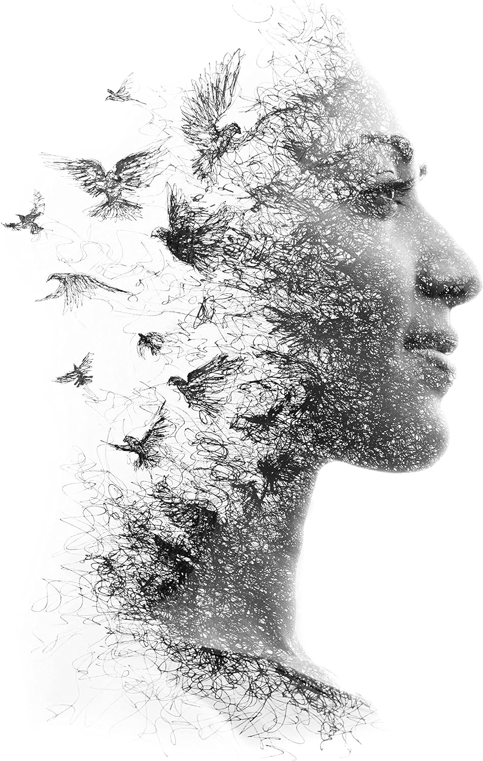 wandmotiv24 Deko Wandbild aus Acrylglas, Grösse 40x30cm, Hochformat, Kunst, Double Exposure, Vögel,