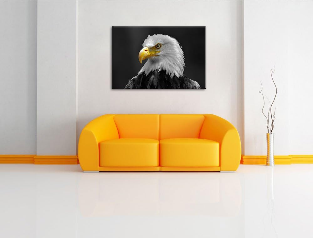 eindrucksvoller Weisskopfseeadler schwarz/weiss Format: 100x70 auf Leinwand, XXL riesige Bilder fert