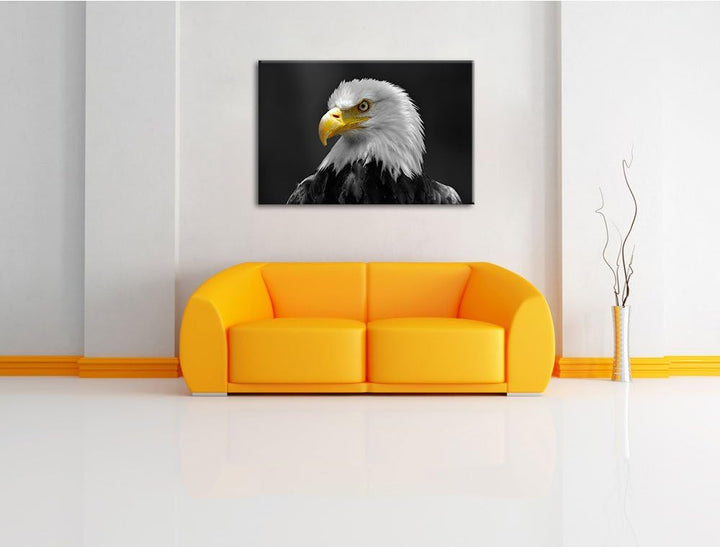 eindrucksvoller Weisskopfseeadler schwarz/weiss Format: 100x70 auf Leinwand, XXL riesige Bilder fert