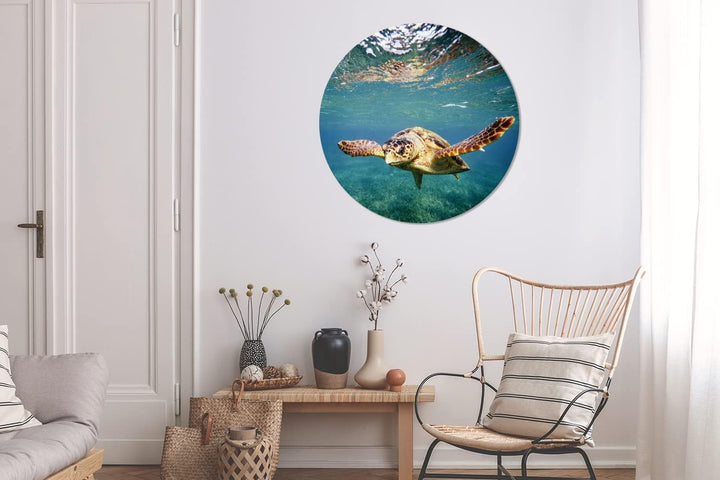 MuchoWow Wandbild Rund Wanddeko Deko Wohnzimmer Bilder 90x90 cm Schildkröte - Wasser - Blau, 90x90 c