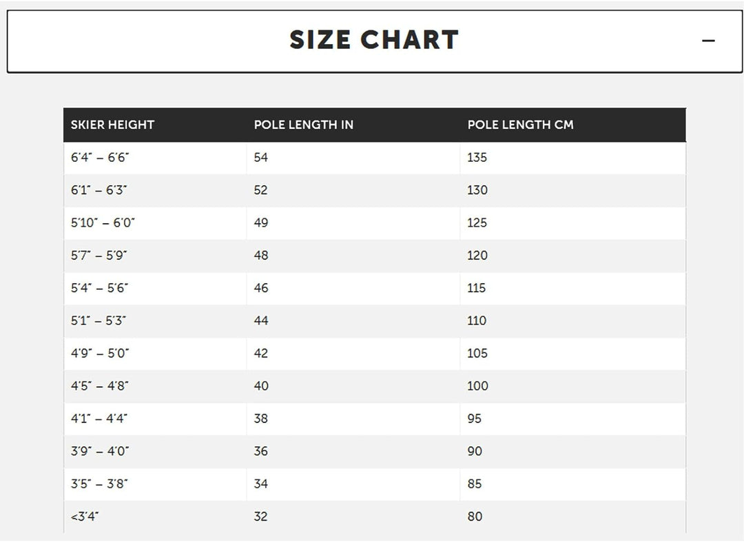 volkl - Skistock Phantastick W Silver Grau Damen – Grösse 120 – Grau