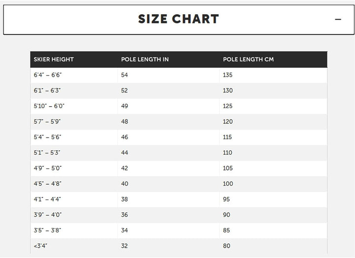 volkl - Skistock Phantastick W Silver Grau Damen – Grösse 120 – Grau