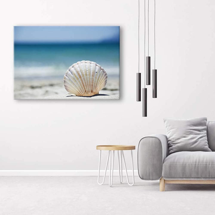 Feeby Bilder Wohnzimmer Muscheln Strand Meer XXL 90x60 cm 1Teilig Schlafzimmer Flur Wandbilder Leinw