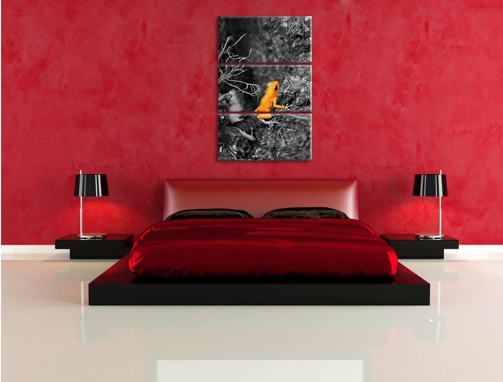 Pixxprint giftiger Kleiner Frosch als Leinwandbild/Grösse: 3 Teilig (120x80) / Wandbild/Kunstdruck/f