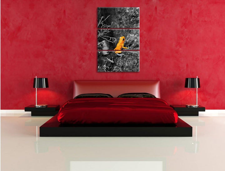 Pixxprint giftiger Kleiner Frosch als Leinwandbild/Grösse: 3 Teilig (120x80) / Wandbild/Kunstdruck/f